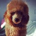 Profile Picture of Леонардо (@GloriaSpring_xx) on Twitter