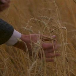 MyArtFilm's profile picture. My Art Film has everything! #art #film #filmmaking #movie #indie