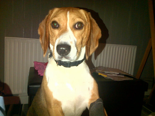 Webbot321's profile picture. Like football and cricket and others love the xbox. Folow me if you hav xbox