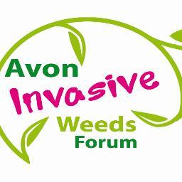 Avon Invasive Species