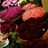 Profile Picture of ✽ جَــيــدآءْ (@@ClaraHendrix13) on Twitter