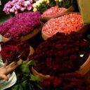 ✽ جَــيــدآءْ - @ClaraHendrix13 - Twitter