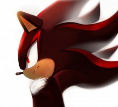 Hmph! I am the ultimate life form! Once and for all we will see who's the real Hedgehog faker .. [SSBB Assist Trophy, Sonic/SSBB RP]