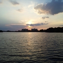 rob ice - @money_pronto - Twitter