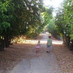 דאטא, אופניים, סקרנות, מעורבות ואנשים לשתות איתם בירה 🍓