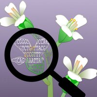 Data_Science_Exeter (@datasciencefeed) 's Twitter Profile