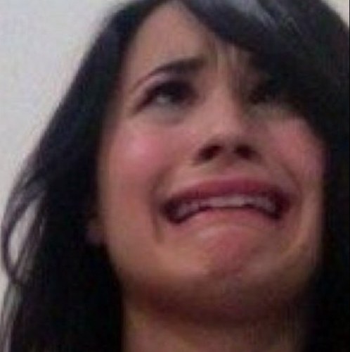 wistfullydemi's profile picture. pls follow @wistfuldemi thank you!!