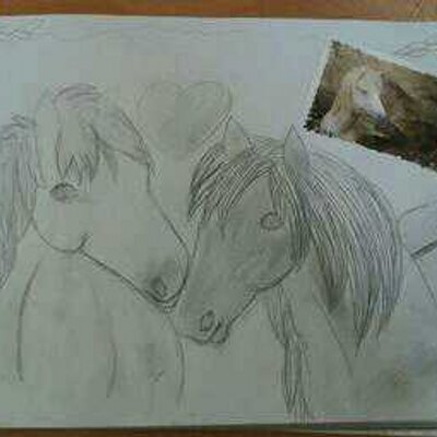 Fonkelnieuw Paarden tekening (@paardentekening) | Twitter KR-75