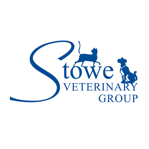 Small animal, farm and equine veterinary practice and hospital in Stowmarket, Suffolk