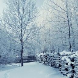 UnMondeLlibres's profile picture. Curiositats del món editorial, escriptors i, sobretot, llibres. Ressenyes i més coses