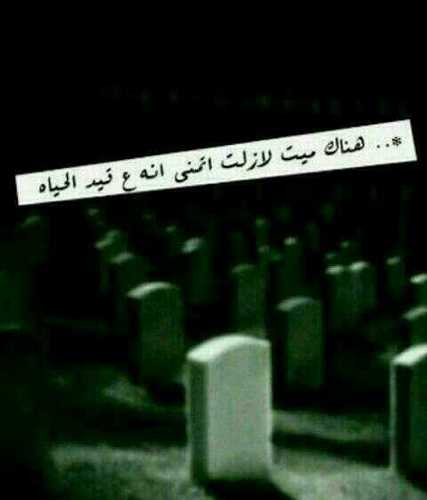 كاتب وشاعر ، طالب في المرحله الثانويه