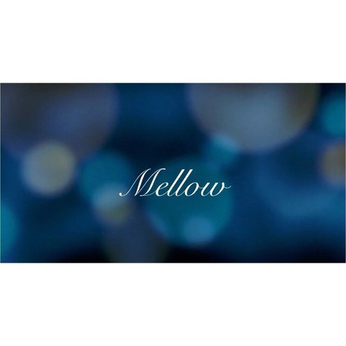 노래하는 이름 Mellow
싱어송라이터
보컬트레이너&디렉터