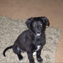 Danny phipps - @Daniel24101999 - Twitter