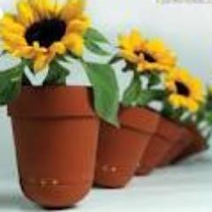 مجھے علم ، اصلاح اور امن سے لگاؤ ہے۔