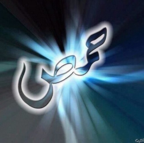 hamouda921's profile picture. 