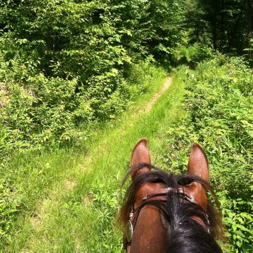 I've been riding since before I could walk and I'll keep riding until after I can't ❤