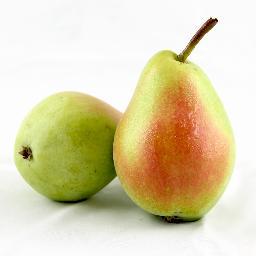 #FMG today member of #OPERA S.c.a. - leader in EU for producing and marketing of Italian #Pears