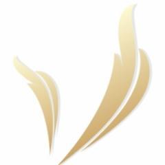E-commerce no ramo de Vime Natural e Sintético, com Frete Grátis para RJ 21 2082-3289 whats 21 9 8214-4295 Requinte e Sustentabilidade Ambiental!