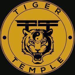 Tiger Temple is an unique system, mixture of Martial Arts, Yoga, Taekwondo Qi gong and methods developing creativity and helping to connect body & mind.