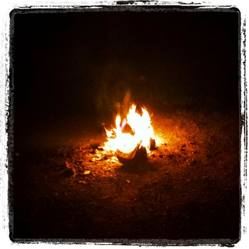 MinkWallace's profile picture. 