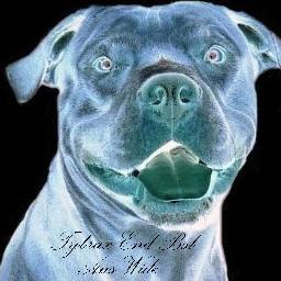 tybrax's profile picture. The 22 point breed identification checklist for a pit bull has been discredited in many Court cases in Qld. Self proclaimed experts in Breed Id.