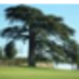Sr Félicité Daou (@sfdaou) Twitter profile photo Sr Félicité Daou (@sfdaou) Twitter profile photo