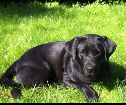 jessedb14's profile picture. 