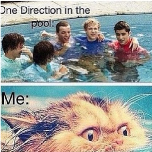 Funny_Tweets_78's profile picture. 