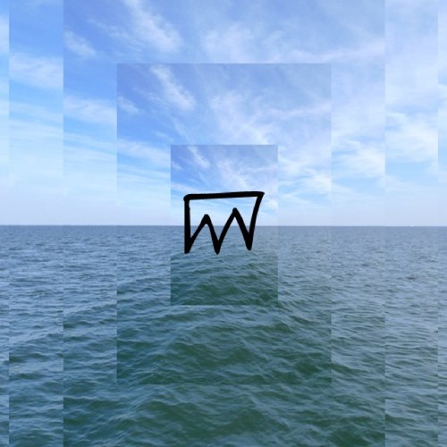 weird / wildflower / gemini