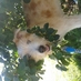 Lena (@almudena_ar) Twitter profile photo