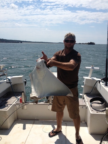 DavidGiorgilli's profile picture. 