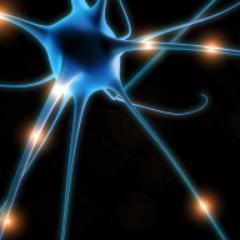 Bones, neurons, viruses and mathematics