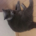 こーき (@0927_58) Twitter
