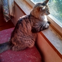 Nancy Kahl - @KahlNancy - Twitter