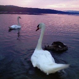 Hudson_Sailing's profile picture. We offer our customers the opportunity to cruise the river on one of the safest, most modern, versatile and exciting sailing vessels: the Corsair F-28R. !