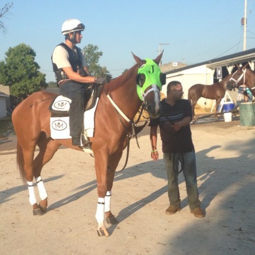 Son of 2004 horse of the year Ghostzapper