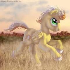 im Lucky Skies i was born in cloudsdale but i decided to move to ponyville to get a job get some friends and live a happy life #taken