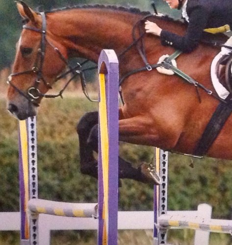 Aske Horse Trials is affiliated to British Eventing and holds classes from BE100 to Open Intermediate