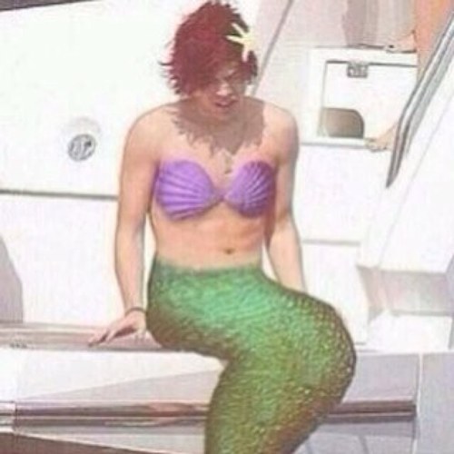 hey baby please go follow @MISSIONARRYx and @11InchWonder