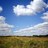 volnews_tweet
