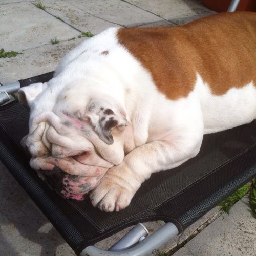 motocrossmad85's profile picture. 