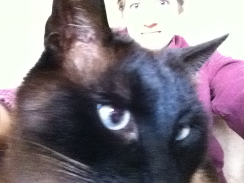 MmeVanta's profile picture. 