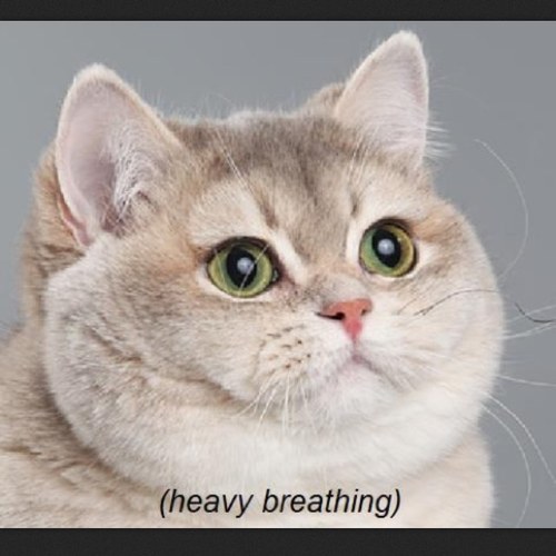 kristalmehth's profile picture. When in doubt, whip it out.