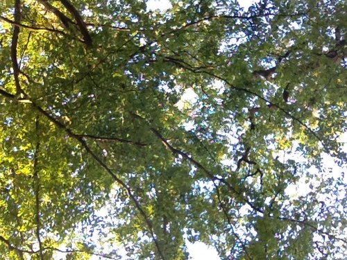 od_drugpolicy's profile picture. This forum is committed to much needed reforms in current drug policy worldwide. The argument is over, the drug war has failed. So what do we do about it?