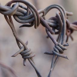 „Manchmal steht er vor dir, sein Schatten wiegt eine Tonne & von einem Moment auf den anderen fängt er an zu strahlen, als ob die Sonne durch die Straßen rollt
