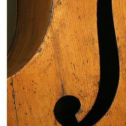 Middle School Orchestra Teacher and Double Bassist