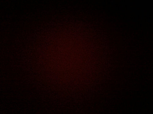 MartinVbos's profile picture. 