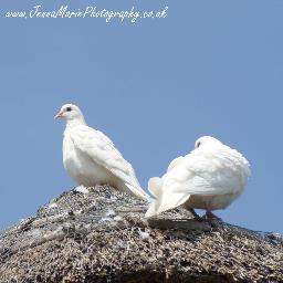Peterborough Photographer