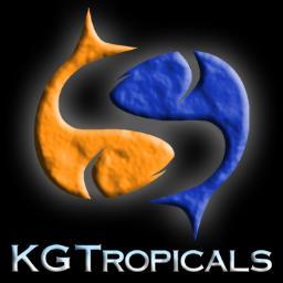 We are a tropical fish breeder and retailer in King George Va. We love sharing this wonderful hobby with as many people as possible!!!