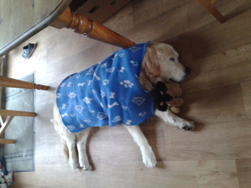 tobyplace1's profile picture. the most crazyest down to earth nutter u will ever meet